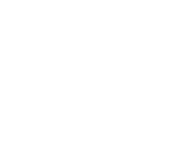 Veldo Logo